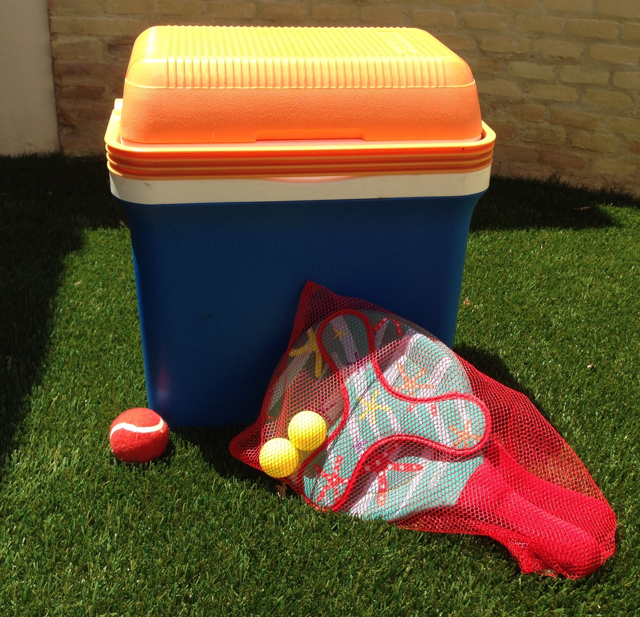 Seguridad Alimentaria en los Picnics