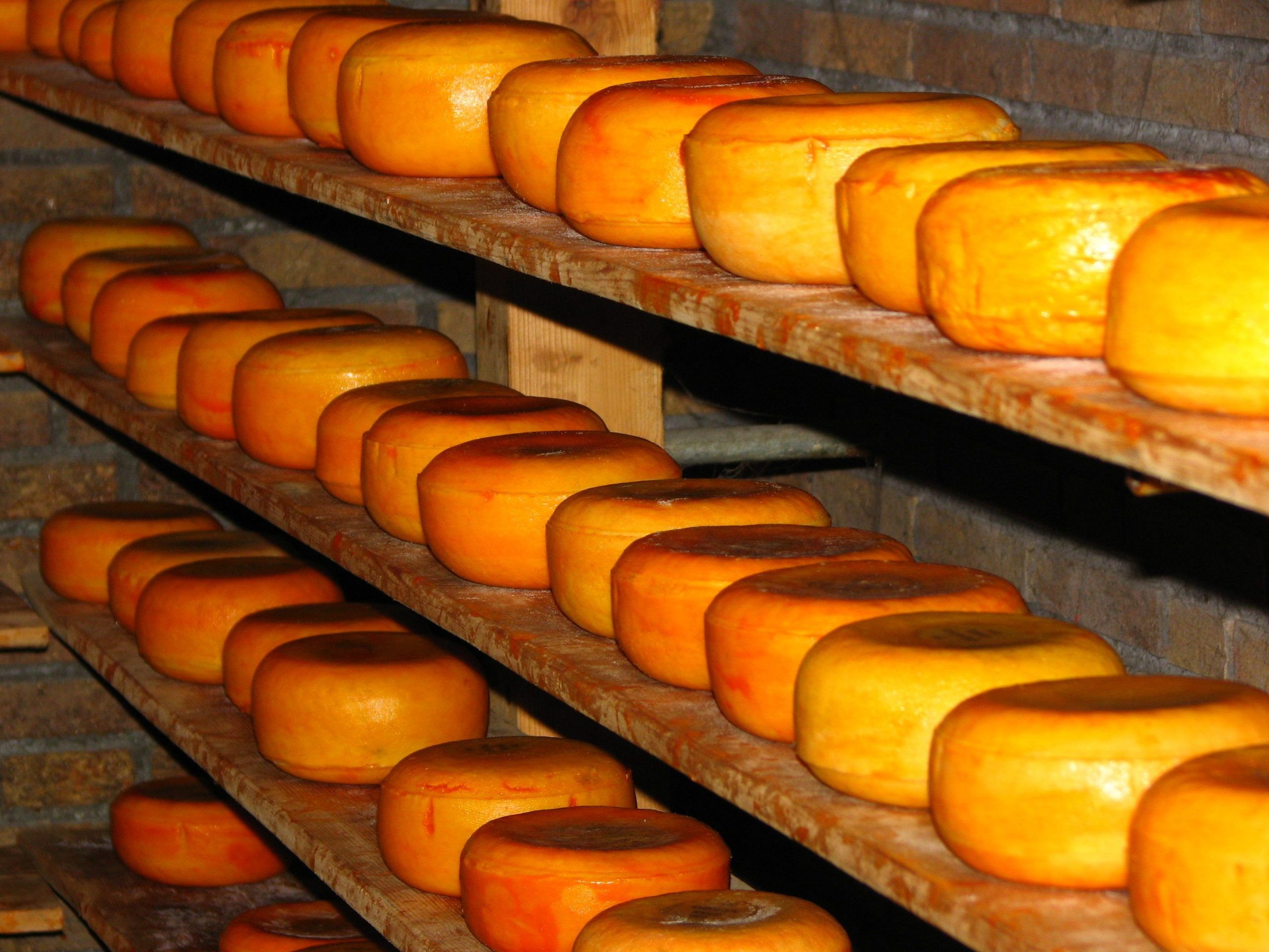 Propuesta de Italia a la Comisión Europea para el método oficial de análisis de aminoácidos libres en el queso